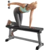 Weightlifting Training Bench With Dumbbell Rack